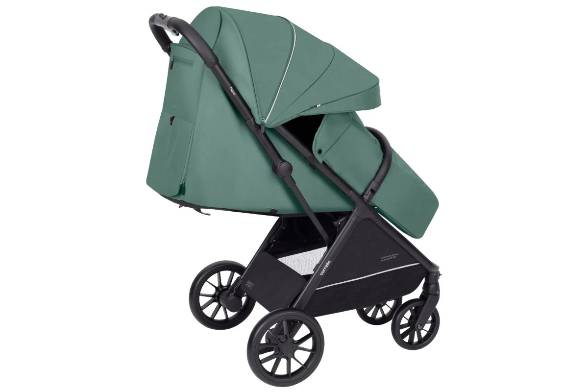 Прогулянкова коляска Carrello Nero CRL-5514 Pear Green