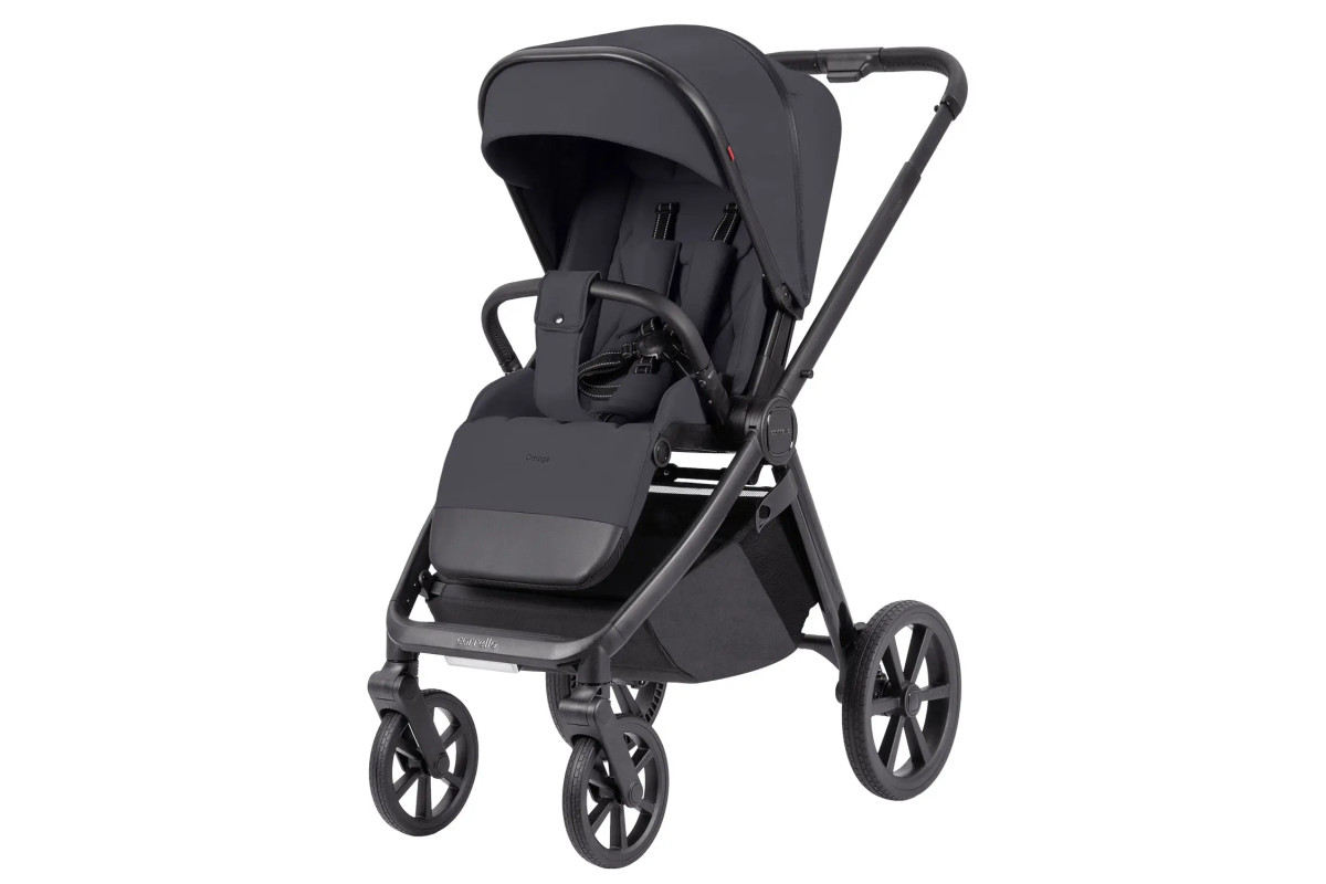 Коляска універсальна CARRELLO Omega CRL-6545 (3in1) Meteor Grey