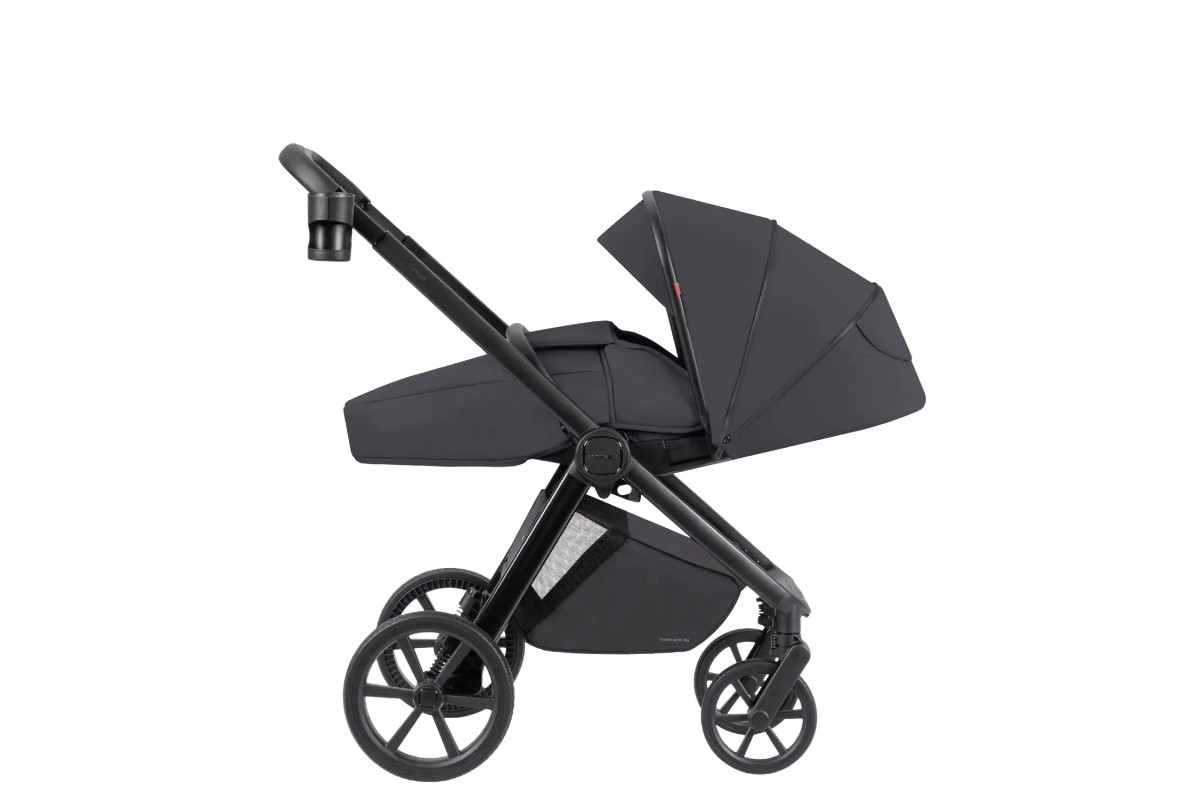 Коляска універсальна CARRELLO Omega CRL-6545 (3in1) Meteor Grey